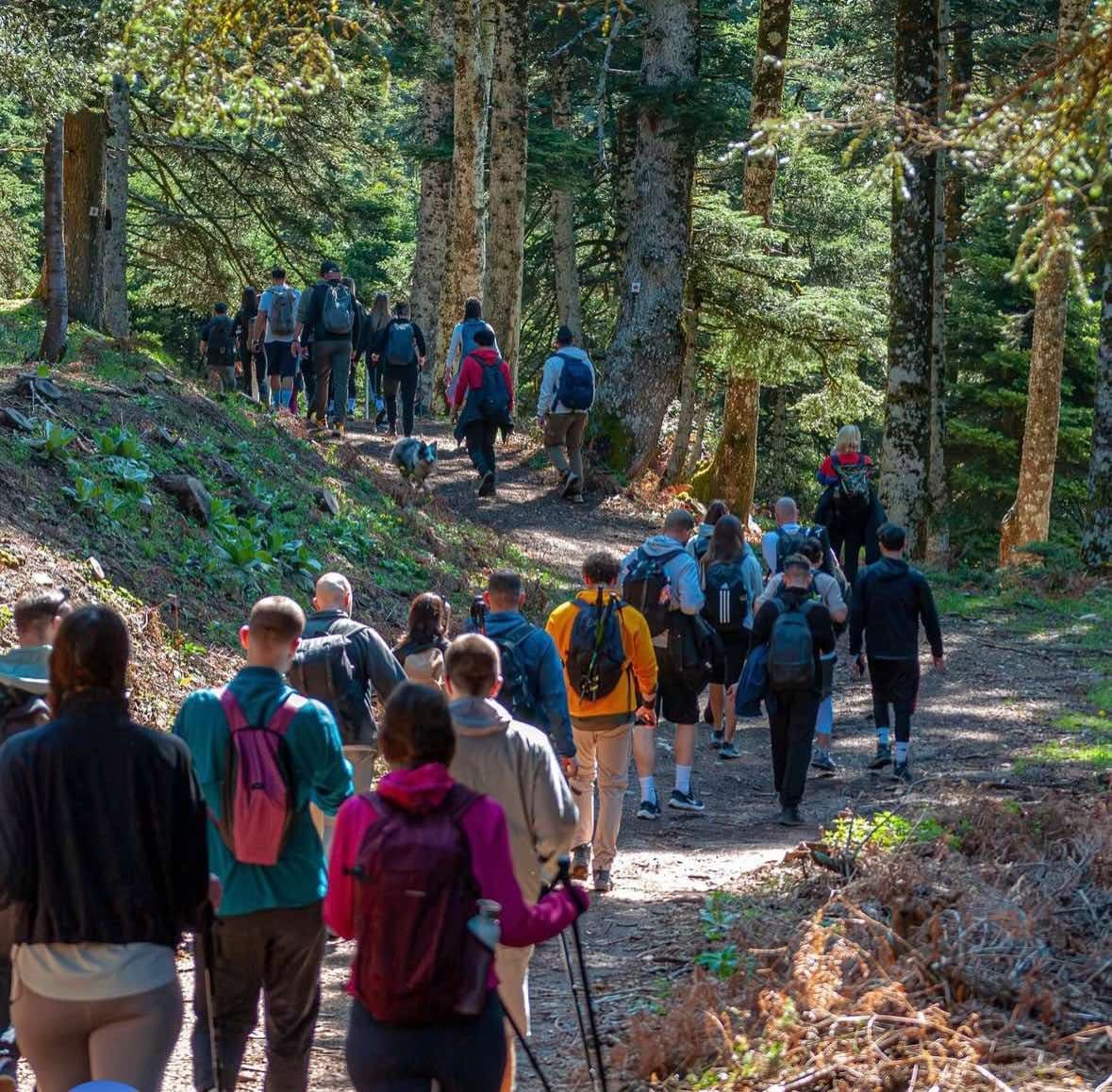 Hike & Cook outdoor Experience